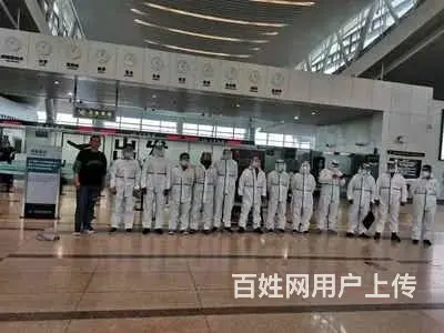 新西兰正规出国劳务，建筑工司机农场工厂普工 - 图片 6