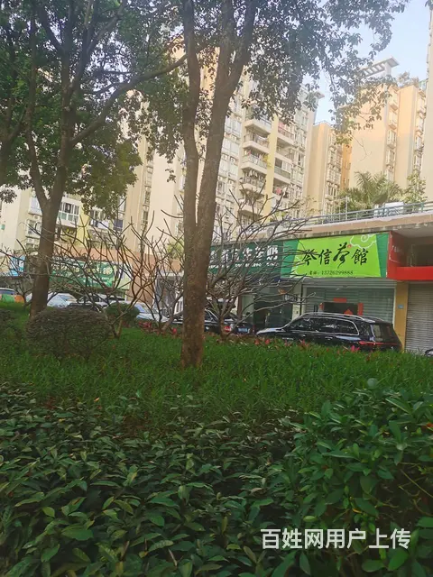 朗晴居商铺直租 - 图片 3