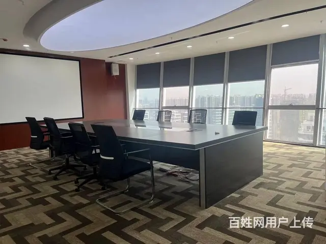 八里湖一小湖景写字楼租售 - 图片 3