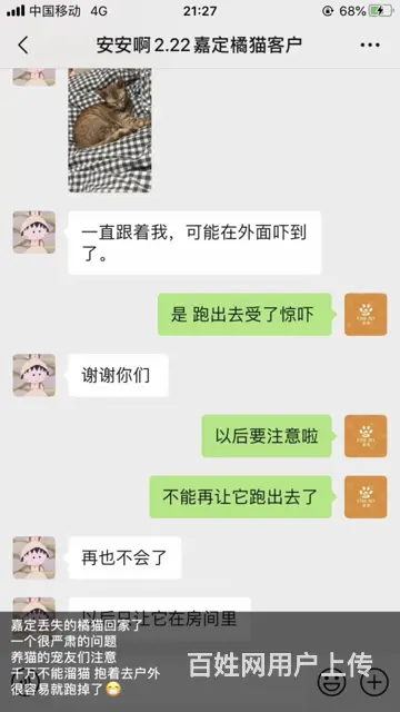 苏州猫咪丢了怎么找 专业找猫寻狗团队来帮你 - 图片 12