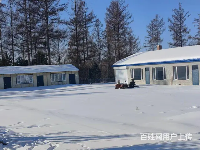 林场平房出售 - 图片 2