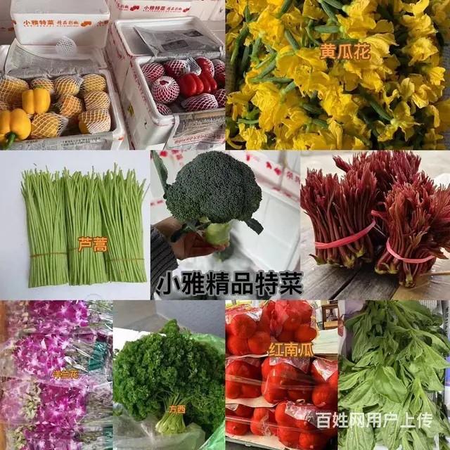 厦门食材供应、蔬菜配送、食堂承包。 - 图片 4