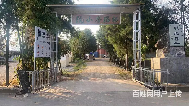 玉溪市江川区（大型休闲娱乐农家小院）低价转让 - 图片 1