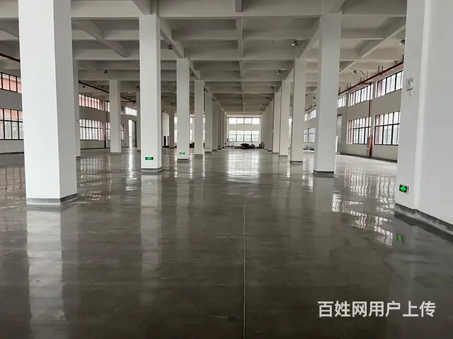 出租新建标准厂房4层12000平方可分租 - 图片 1