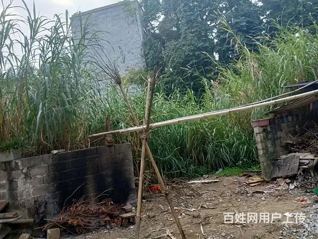 龙径附近土地岀租 - 图片 4