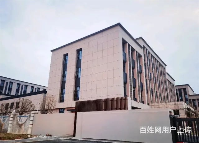 (麦子邦面费找店)房东直租,全新厂房大空间,可整租可分租! - 图片 1
