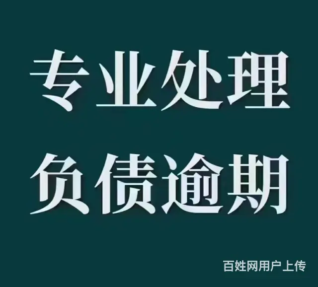 韶关**个人债务重组 - 图片 1