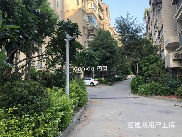 龙池长隆花园 电梯小三房出租 带双卫 通透配套全拎包入住 - 图片 11