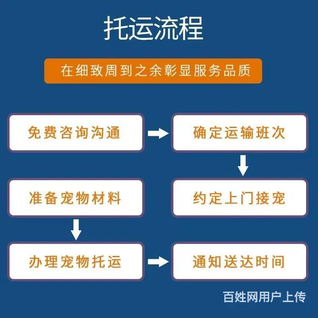 攀枝花盐边宠物托运 （猫狗活体运输）宠物快递至全国 - 图片 2