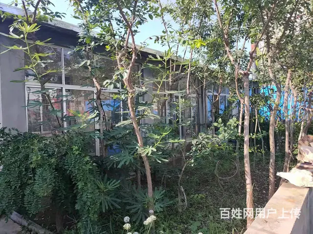（易店）淄川双杨镇小庄村孝妇河湿地公园附近商铺出租 - 图片 7