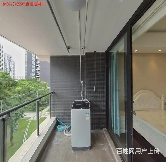 华发商都旁 中信红树湾花园 1室1厅1卫1阳1厨 50平 - 图片 3