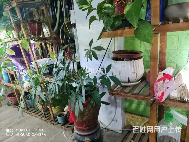 鼓楼广场旁惠工小区一室一厅出租 - 图片 3