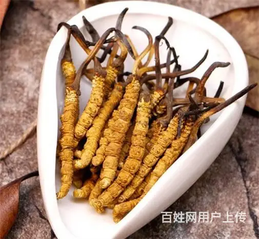 番禺冬虫夏草回收市场价格是多少-上门收购冬虫夏草 - 图片 1