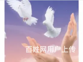 沈阳沈河靠谱的出国新加坡韩国日本欧洲签证 - 图片 1