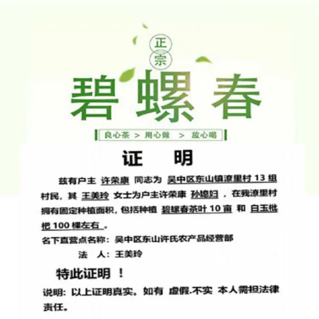 三级碧螺 . 苏州东山碧螺春茶叶正宗洞庭碧螺春绿茶 - 图片 5