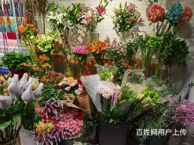 转让羊山新区凤凰牡丹园金街商业街店铺 - 图片 3