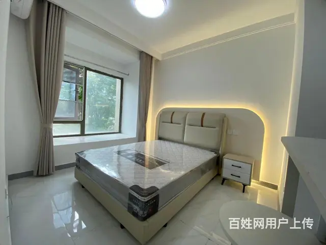 星河COCO植物园金融广场旁全新精装一室一厅带天然气押一付一 - 图片 6