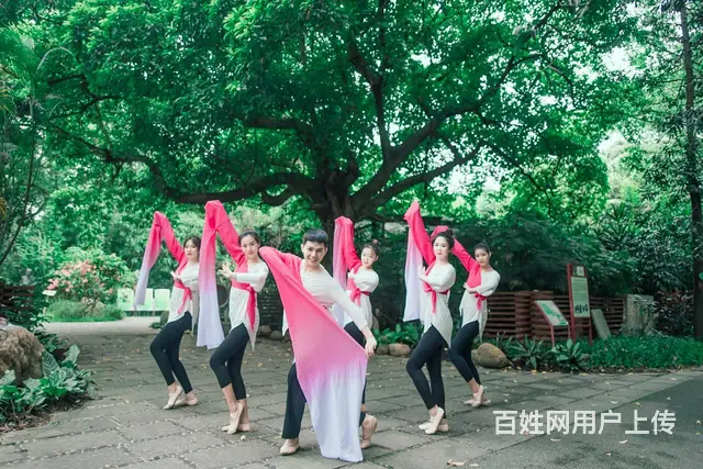 花城汇哪里有小班制成人古典舞课程培训 - 图片 1