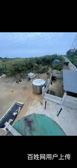 5亩地 养殖场大院 出租 离市内近 - 图片 4