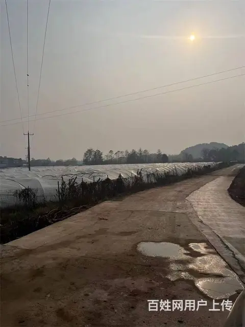 中江县通济镇140亩土地出租 - 图片 3