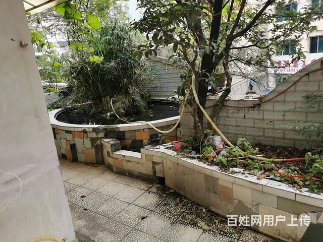 兰苑一楼带花园四房可按揭贷款 - 图片 1