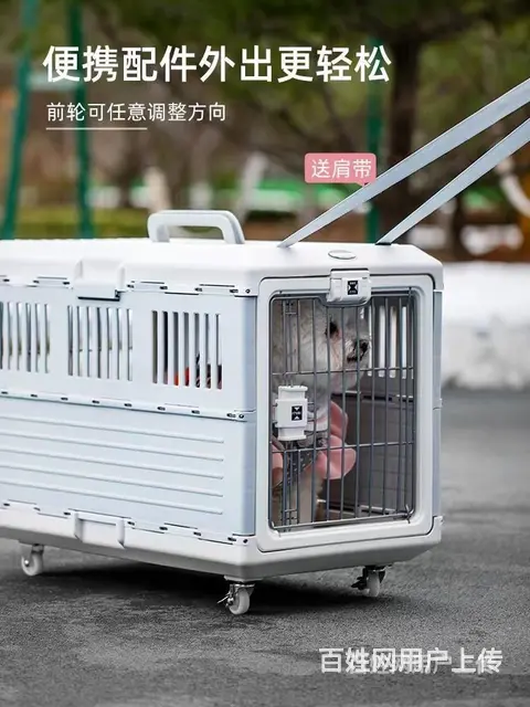推荐） 舟山宠物托运到全国）（猫狗）邮寄快递（宠物活体运输） - 图片 2
