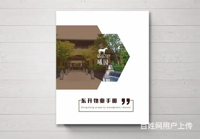 企业平台招商手册设计，精品画册设计制作 - 图片 2