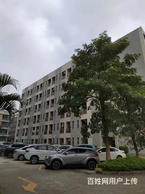 广州日用制品五千长白班包吃住普工 - 图片