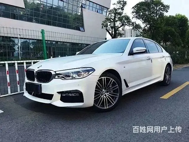 宝马5系 2018款 530Li 2.0T 手自一体 领先型 - 图片 2