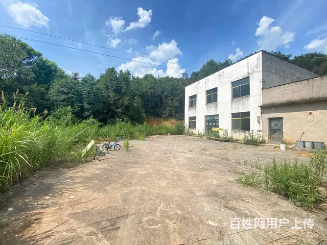 (房东直租)安沙107恒广物流园旁300平整栋私密房屋出租 - 图片 2