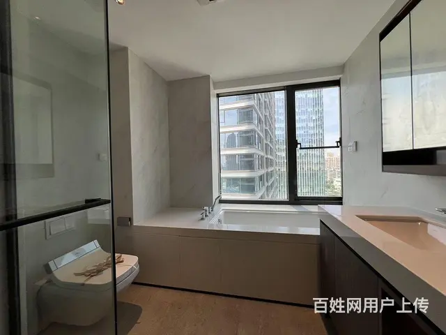 长江中心 270度看江 武昌豪宅代表 4房3卫 大 - 图片 11