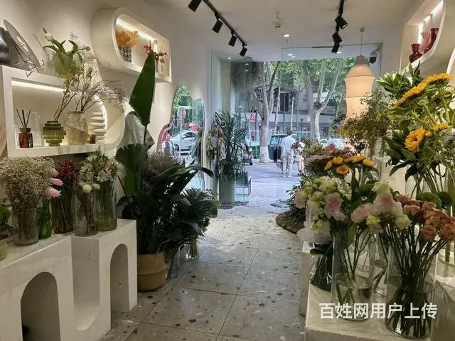 （兴铺）跃进路长虹国际城转角花店整转空转 - 图片 5