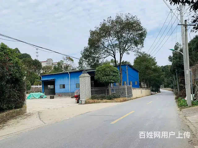 （老板本人）长沙县果园镇独门独院钢架厂房仓库出租  6114 - 图片 2
