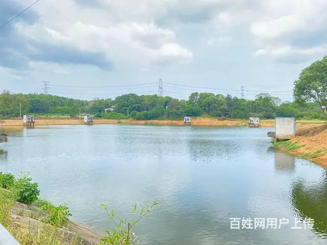 (房东直租)秋江线旁30亩鱼塘，带15亩房屋场地出租，可分租 - 图片 2