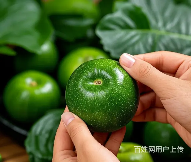 大庆蔬菜供应链集采批发配送 - 图片 4