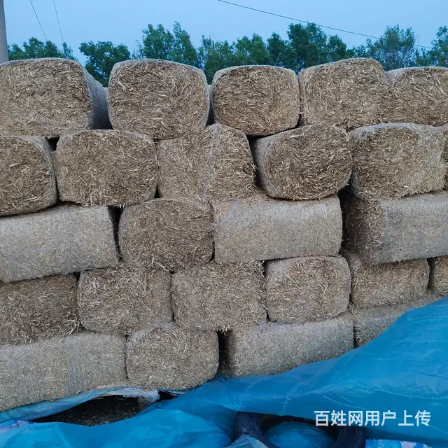 有大量草包出售 - 图片 1