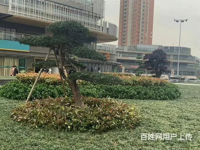 大学城旁边，单价6500起的现房公寓，可出租可办公可做工作室 - 图片 6