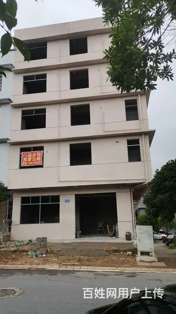临空产业区整栋房屋出租 - 图片 4