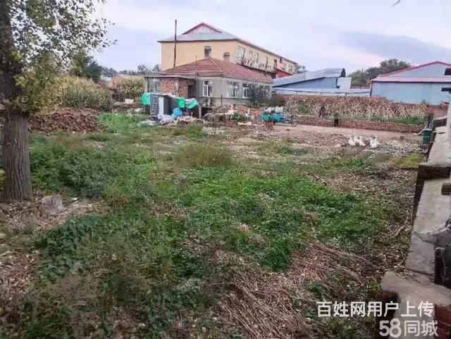 道里机场路二手车市场蒋化屯厂房出售 - 图片 7