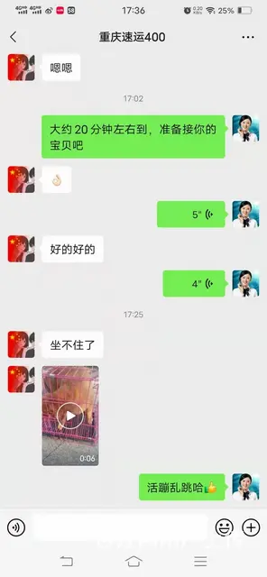 常州市宠物托运公司服务好价格优 - 图片 1
