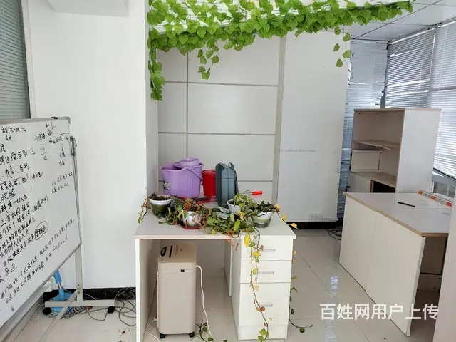 带办公家具 市中心超低价纯写字楼急租 恒和中心 125㎡ - 图片 5