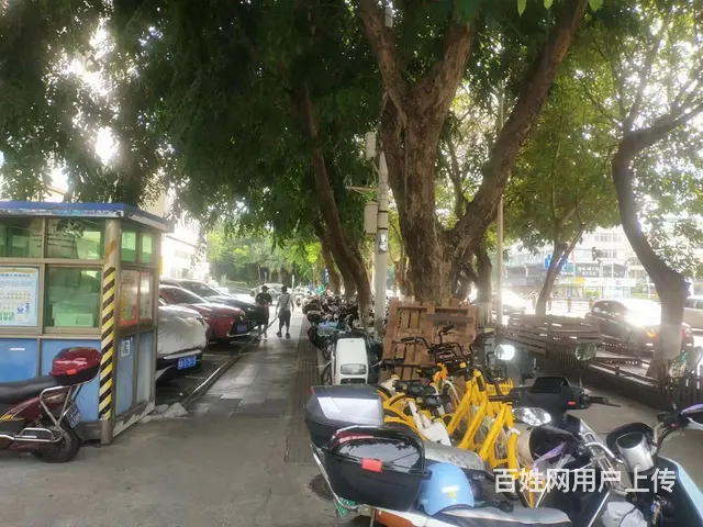 （51旺铺推荐）龙华区海秀东路42平饮酒行转让 - 图片 10