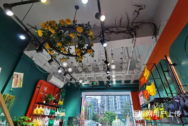 PZJ30649临街内衣店服饰店女士内衣店空转无转让费 - 图片 7