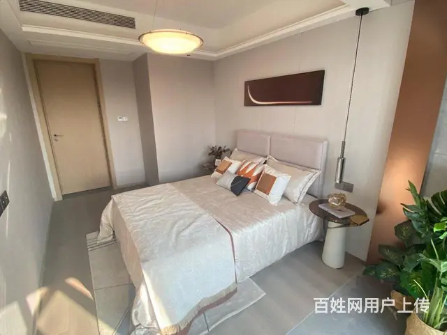 城南 改善型高端品质 不看标价渠道 金鹏壹品 近吾悦广场 - 图片 6