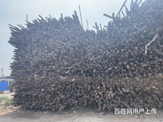 丹东模板收售价格 - 图片 3