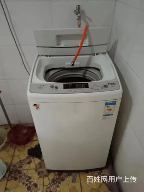 蟠桃花园八期房屋出租 - 图片 5
