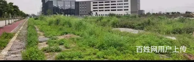 诚意出售珠海唐家金鼎占地1万平工业区独门独院 - 图片 6