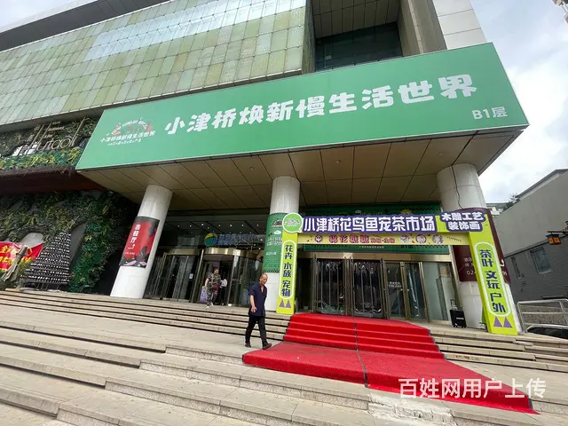 中街益田假日鲜花绿植花鸟鱼文玩茶具档口出租可适合多种经营 - 图片 3