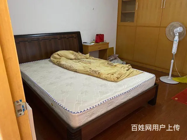保税港区三航大厦特祥苑对面古龙公寓出租 - 图片 7