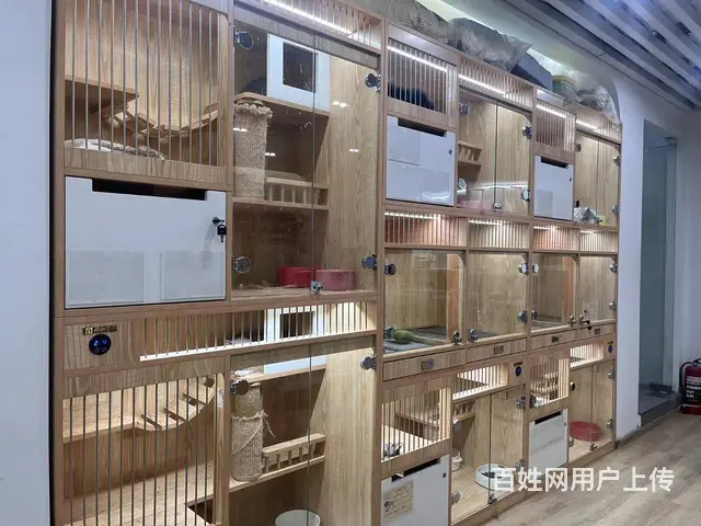 下城东新银泰商圈自带引流有固定群体宠物店转让 - 图片 1